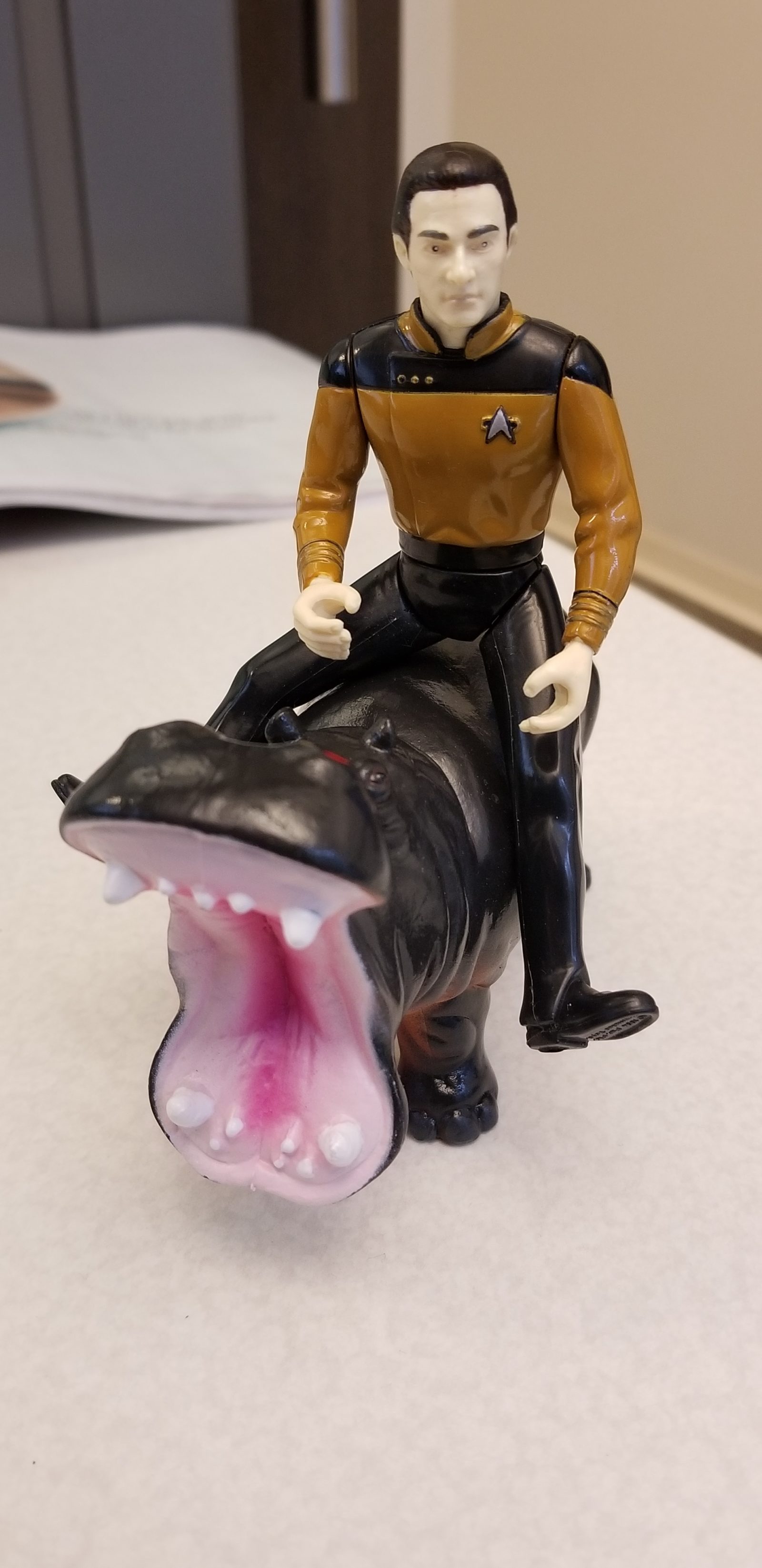 HiPPO – ExP Platform